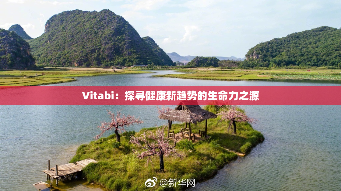 Vitabi：探寻健康新趋势的生命力之源