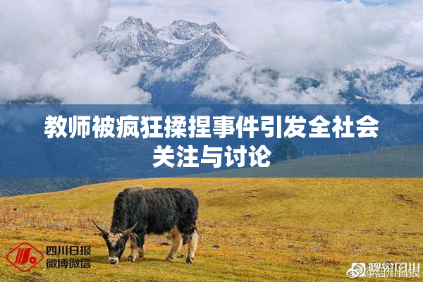 教师被疯狂揉捏事件引发全社会关注与讨论