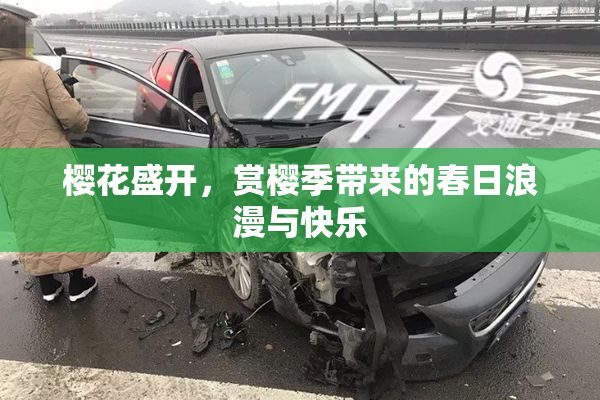 樱花盛开，赏樱季带来的春日浪漫与快乐