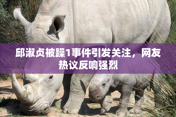 邱淑贞被躁1事件引发关注，网友热议反响强烈