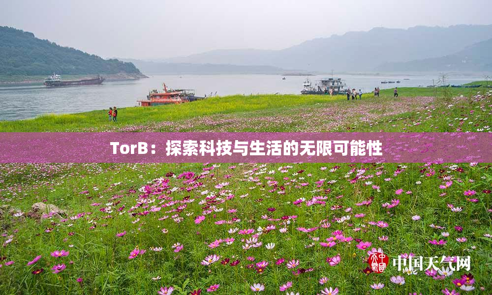TorB：探索科技与生活的无限可能性