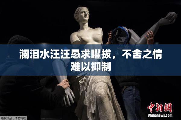 澜泪水汪汪恳求曜拔，不舍之情难以抑制