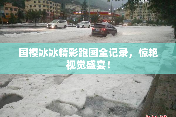 国模冰冰精彩跑图全记录，惊艳视觉盛宴！