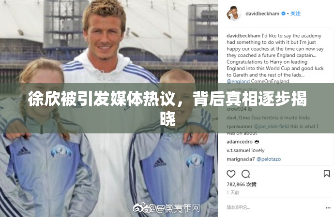 徐欣被引发媒体热议，背后真相逐步揭晓