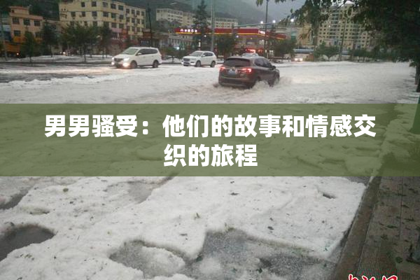 男男骚受：他们的故事和情感交织的旅程