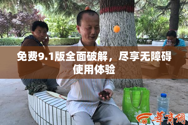 免费9.1版全面破解，尽享无障碍使用体验