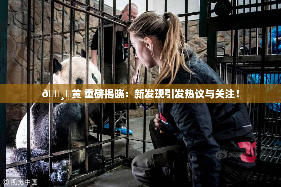 🌸‌黄 重磅揭晓：新发现引发热议与关注！