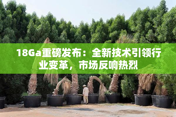 18Ga重磅发布：全新技术引领行业变革，市场反响热烈