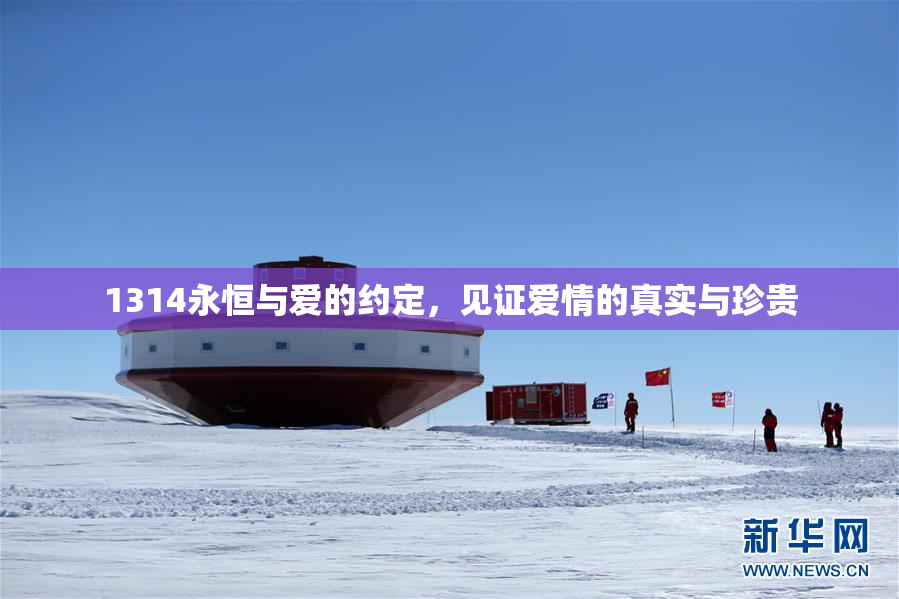 1314永恒与爱的约定，见证爱情的真实与珍贵