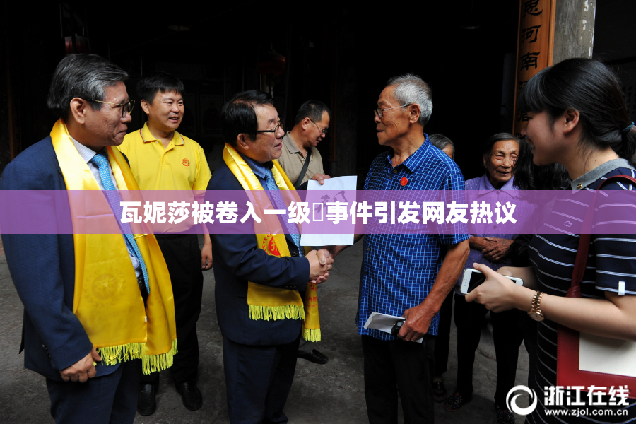 瓦妮莎被卷入一级婬事件引发网友热议