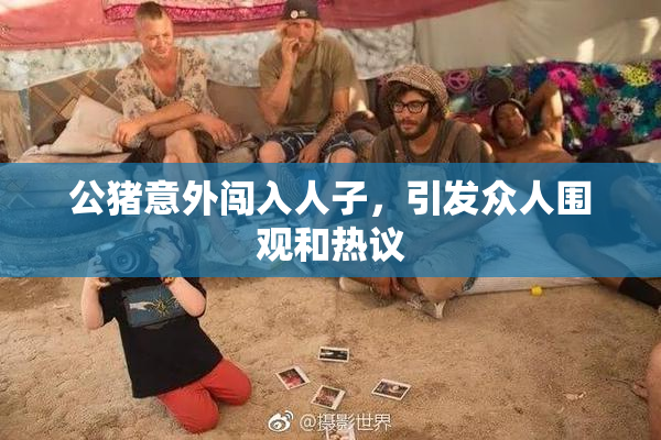 公猪意外闯入人子，引发众人围观和热议