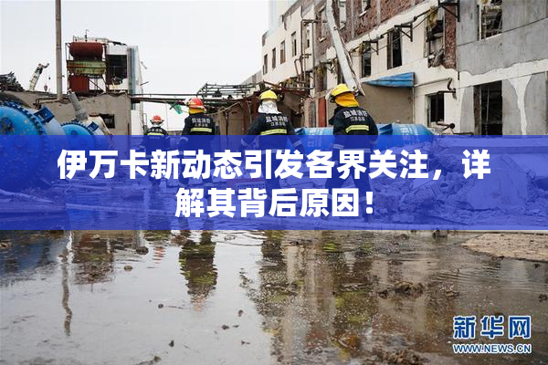 伊万卡新动态引发各界关注，详解其背后原因！