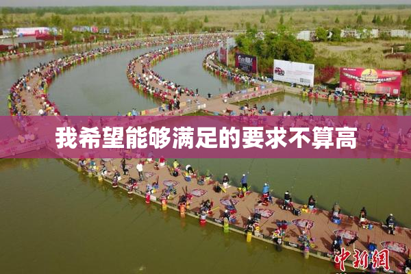 我希望能够满足的要求不算高