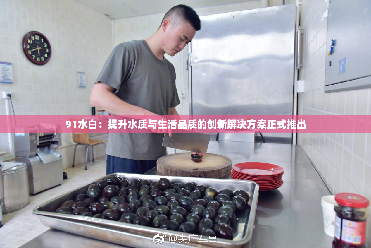 91水白：提升水质与生活品质的创新解决方案正式推出