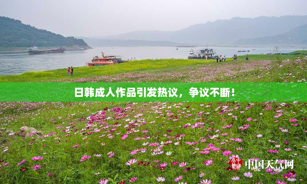 日韩成人作品引发热议，争议不断！