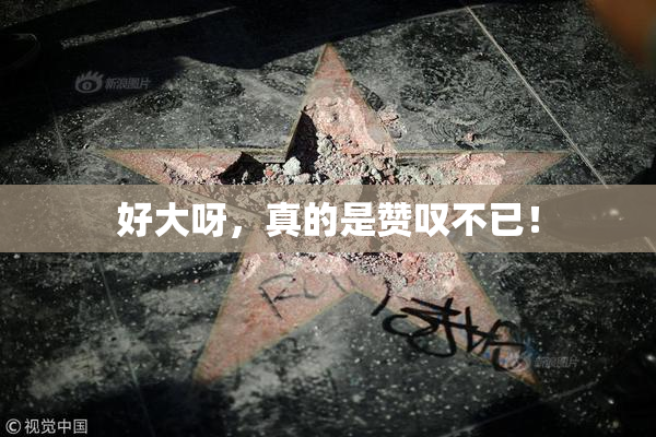 好大呀，真的是赞叹不已！