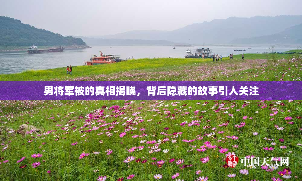 男将军被的真相揭晓，背后隐藏的故事引人关注