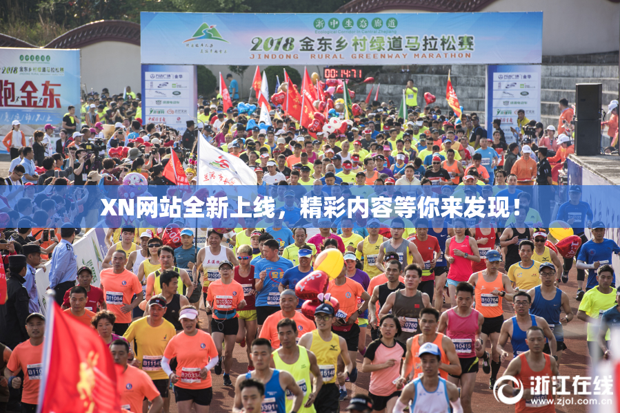 XN网站全新上线，精彩内容等你来发现！