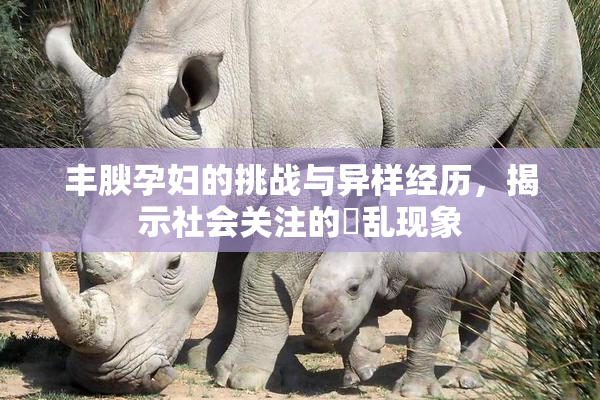 丰腴孕妇的挑战与异样经历，揭示社会关注的婬乱现象