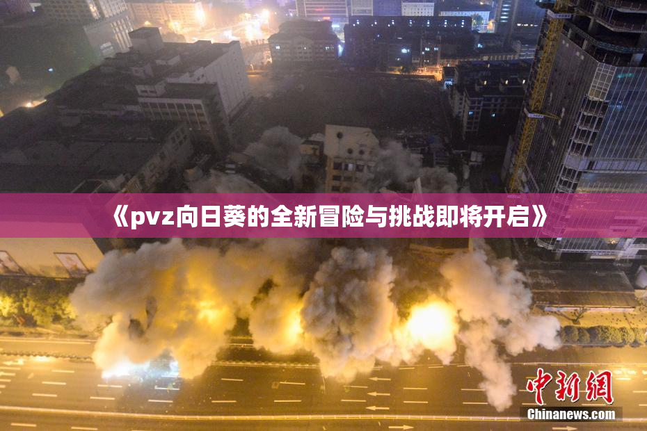 《pvz向日葵的全新冒险与挑战即将开启》