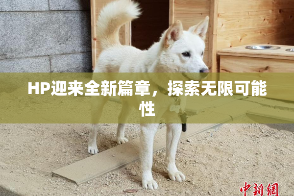 HP迎来全新篇章，探索无限可能性