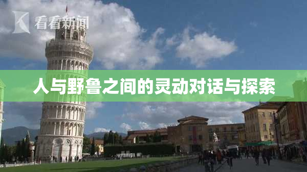 人与野鲁之间的灵动对话与探索