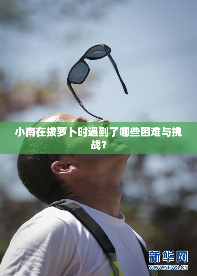 小南在拔萝卜时遇到了哪些困难与挑战？