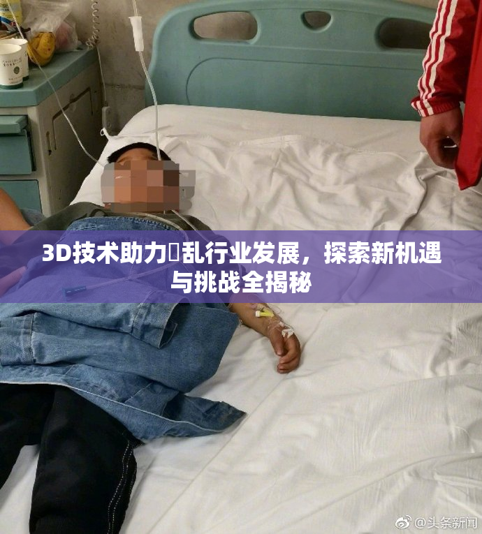 3D技术助力婬乱行业发展，探索新机遇与挑战全揭秘