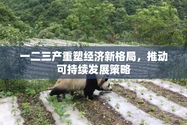 一二三产重塑经济新格局，推动可持续发展策略