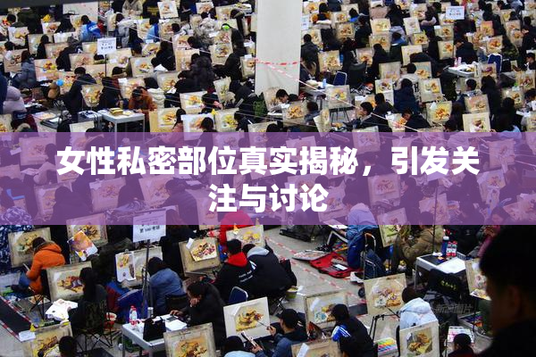 女性私密部位真实揭秘，引发关注与讨论
