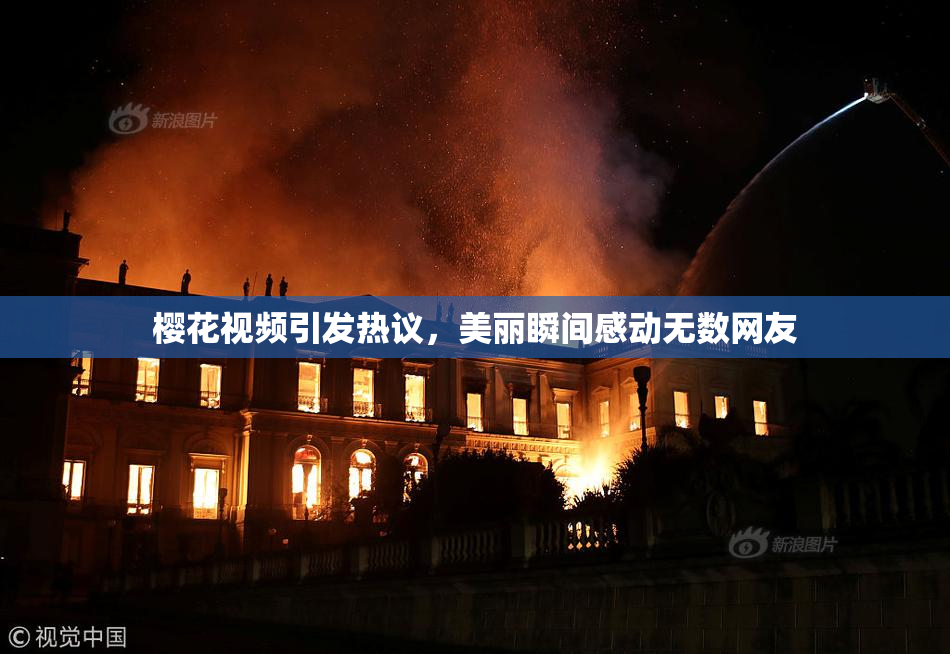 樱花视频引发热议，美丽瞬间感动无数网友