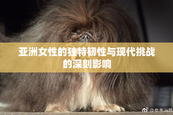 亚洲女性的独特韧性与现代挑战的深刻影响