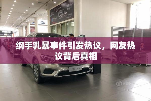 纲手乳暴事件引发热议，网友热议背后真相