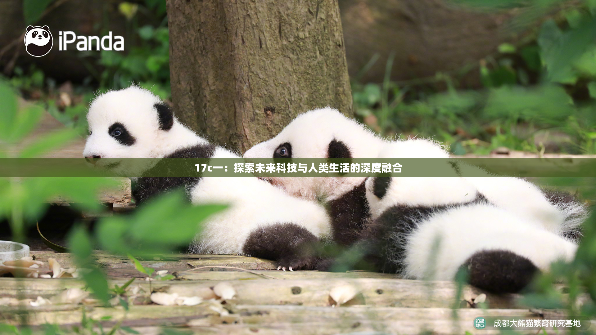 17c一：探索未来科技与人类生活的深度融合