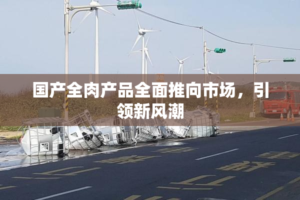 国产全肉产品全面推向市场，引领新风潮