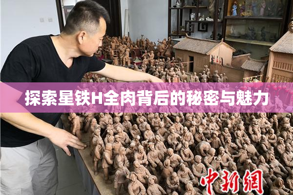 探索星铁H全肉背后的秘密与魅力