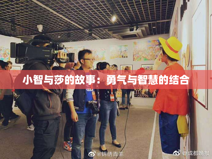 小智与莎的故事：勇气与智慧的结合