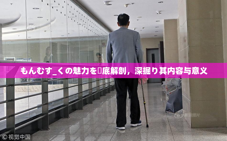 もんむす_くの魅力を徹底解剖，深掘り其内容与意义