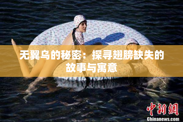 无翼乌的秘密：探寻翅膀缺失的故事与寓意