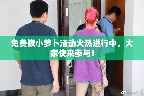 免费拔小萝卜活动火热进行中，大家快来参与！