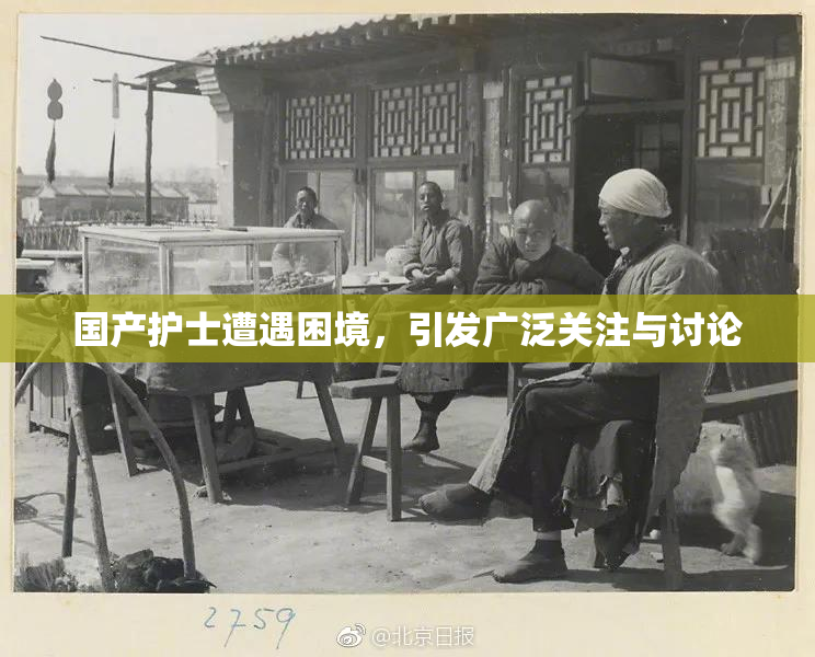 国产护士遭遇困境，引发广泛关注与讨论