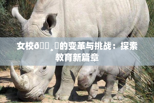 女校🌸‌的变革与挑战：探索教育新篇章