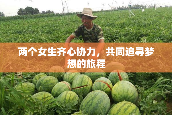 两个女生齐心协力，共同追寻梦想的旅程