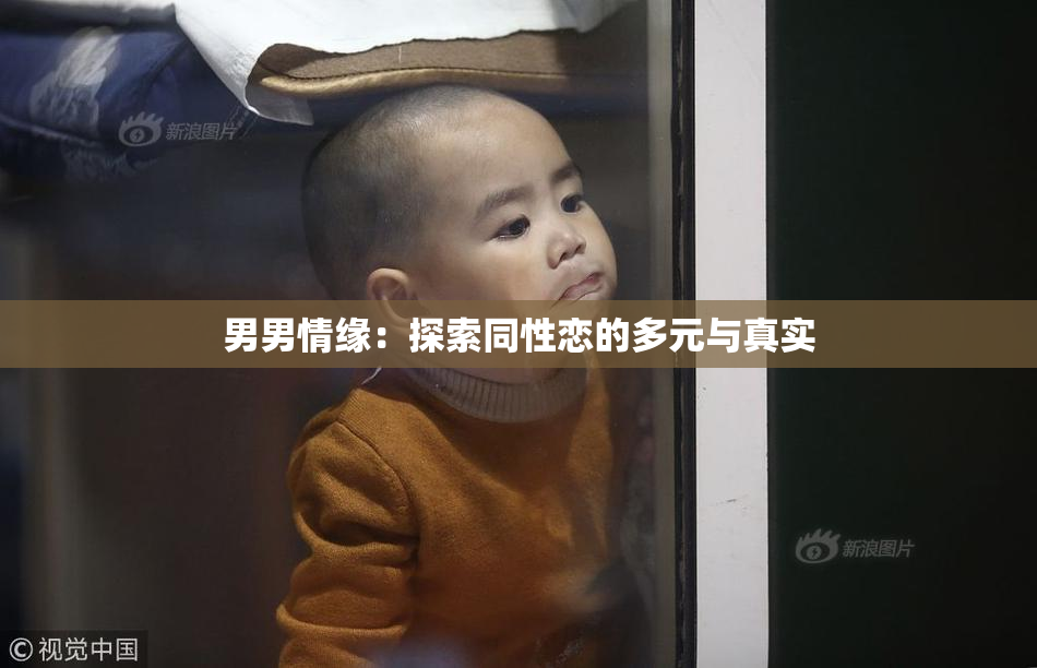 男男情缘：探索同性恋的多元与真实