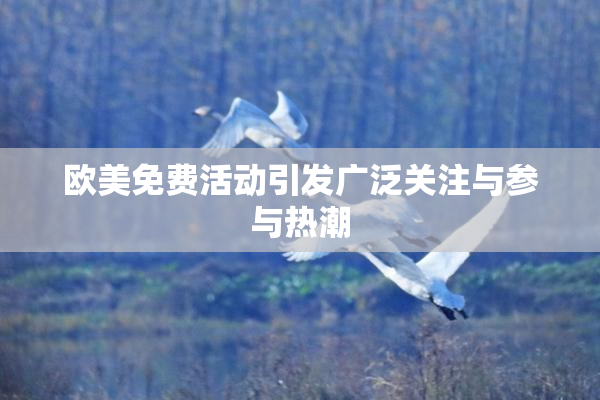 欧美免费活动引发广泛关注与参与热潮