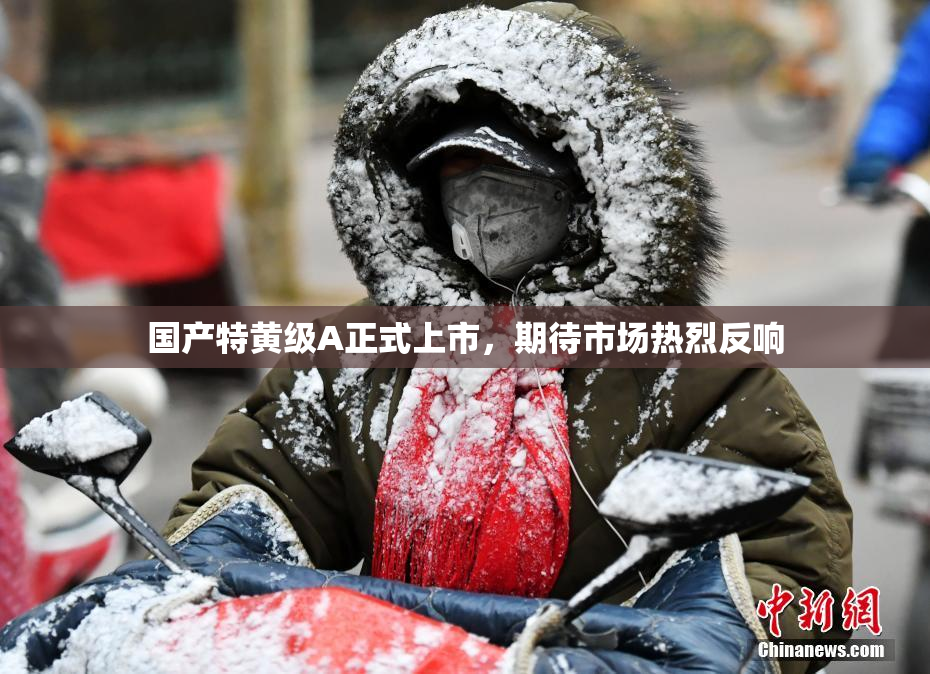 国产特黄级A正式上市，期待市场热烈反响