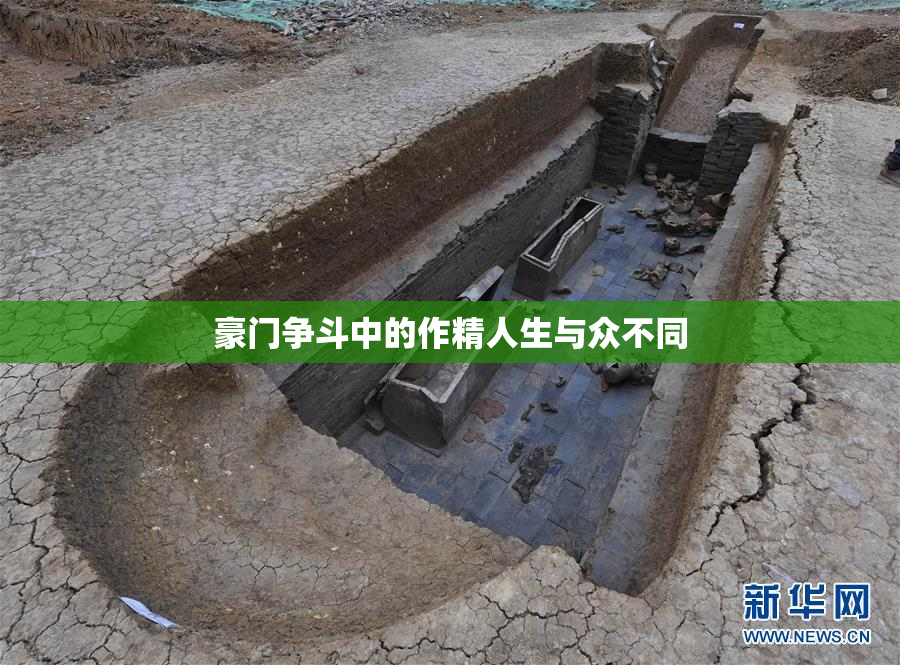 豪门争斗中的作精人生与众不同