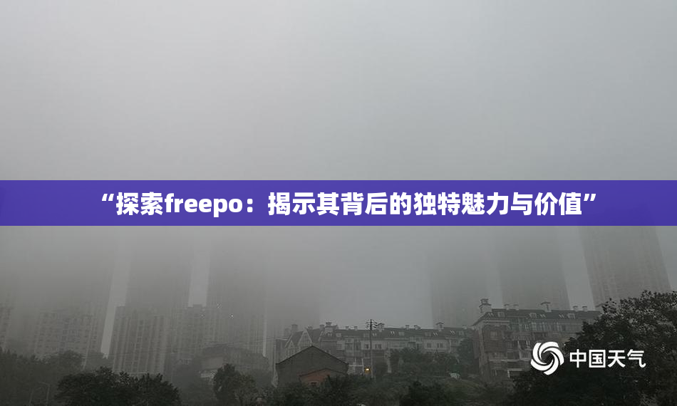 “探索freepo：揭示其背后的独特魅力与价值”