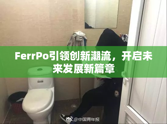 FerrPo引领创新潮流，开启未来发展新篇章