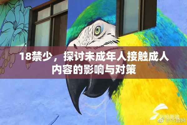 18禁少，探讨未成年人接触成人内容的影响与对策